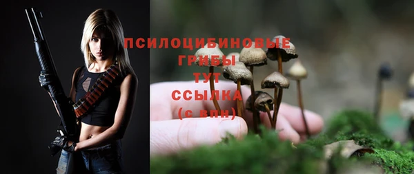 не бодяженный Беломорск