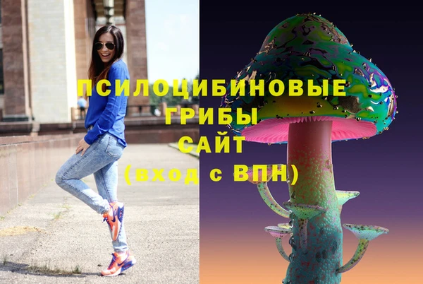 apvp Белокуриха